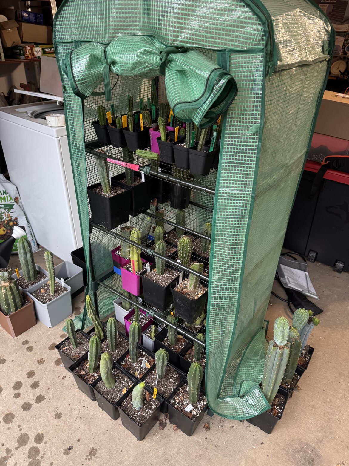 Indoor Lighting. Indoor Lighting.