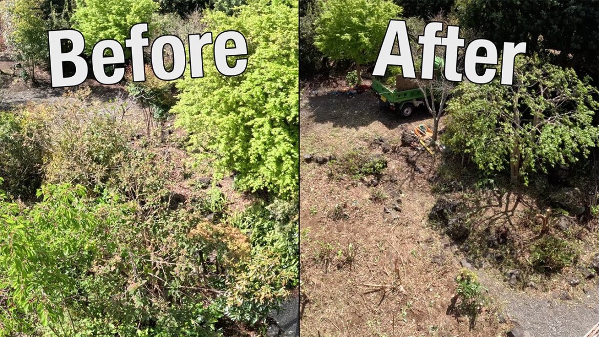 Ep. 10 – Did we ruin our Japanese Garden? Ep. 10 - Did we ruin our Japanese Garden?