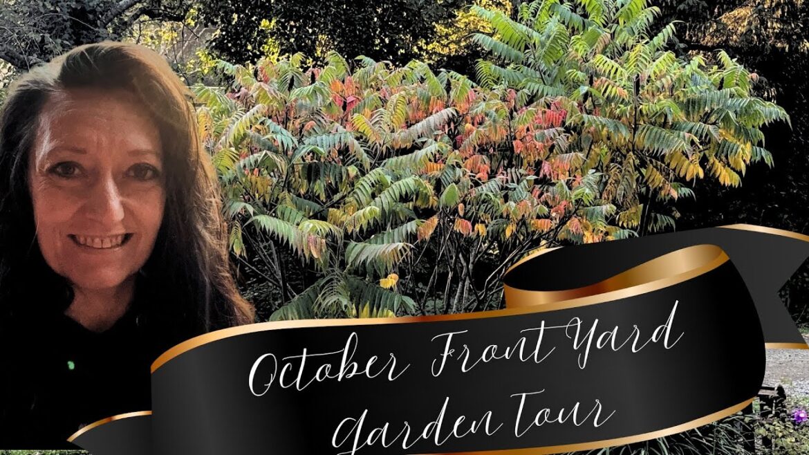 Check Out My AMAZING October Front Yard Garden Tour Check Out My AMAZING October Front Yard Garden Tour