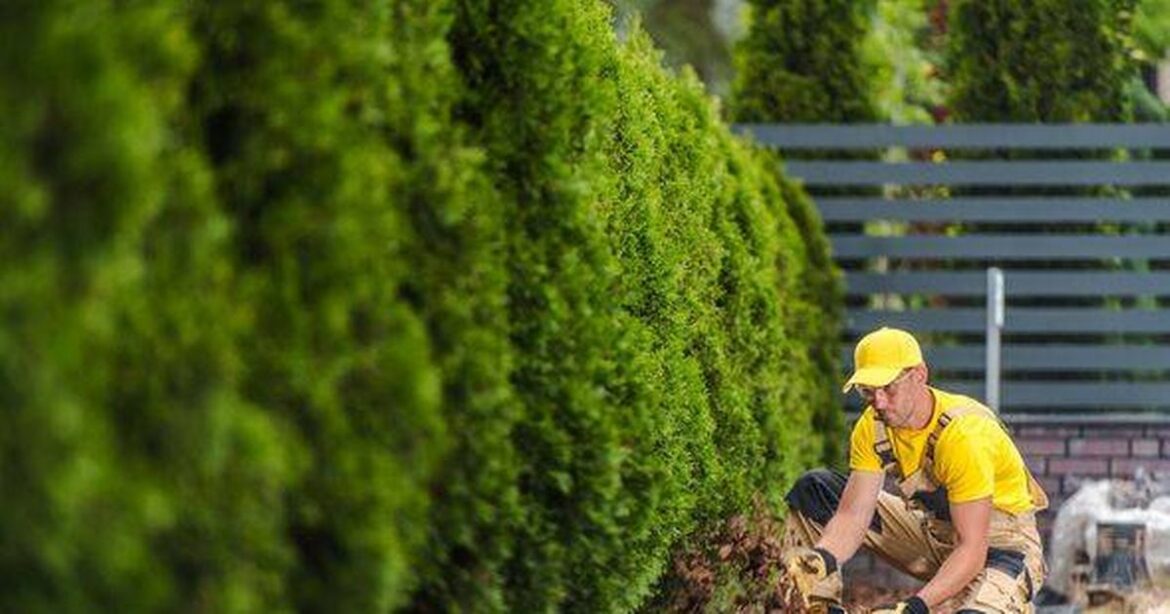 Gardeners’ World’s star says ‘avoid’ one thing during vital autumn gardening task Daily Mirror