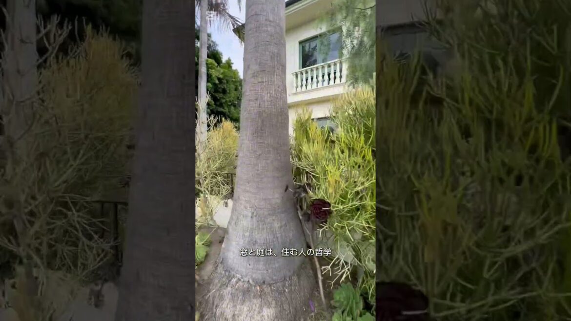 運河の暮らしを覗く21秒|Venice Canals|dayoff.journey 運河の暮らしを覗く21秒|Venice Canals|dayoff.journey