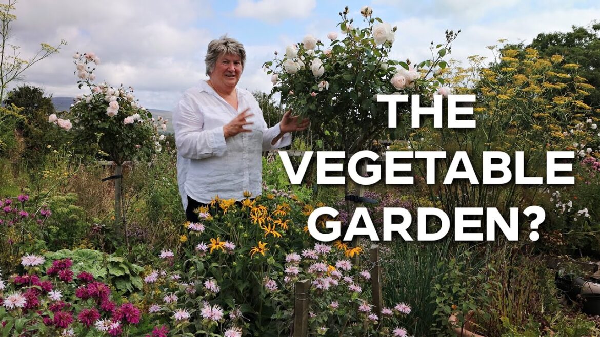 Abundant Flowers Tour in Vegetable Garden Abundant Flowers Tour in Vegetable Garden