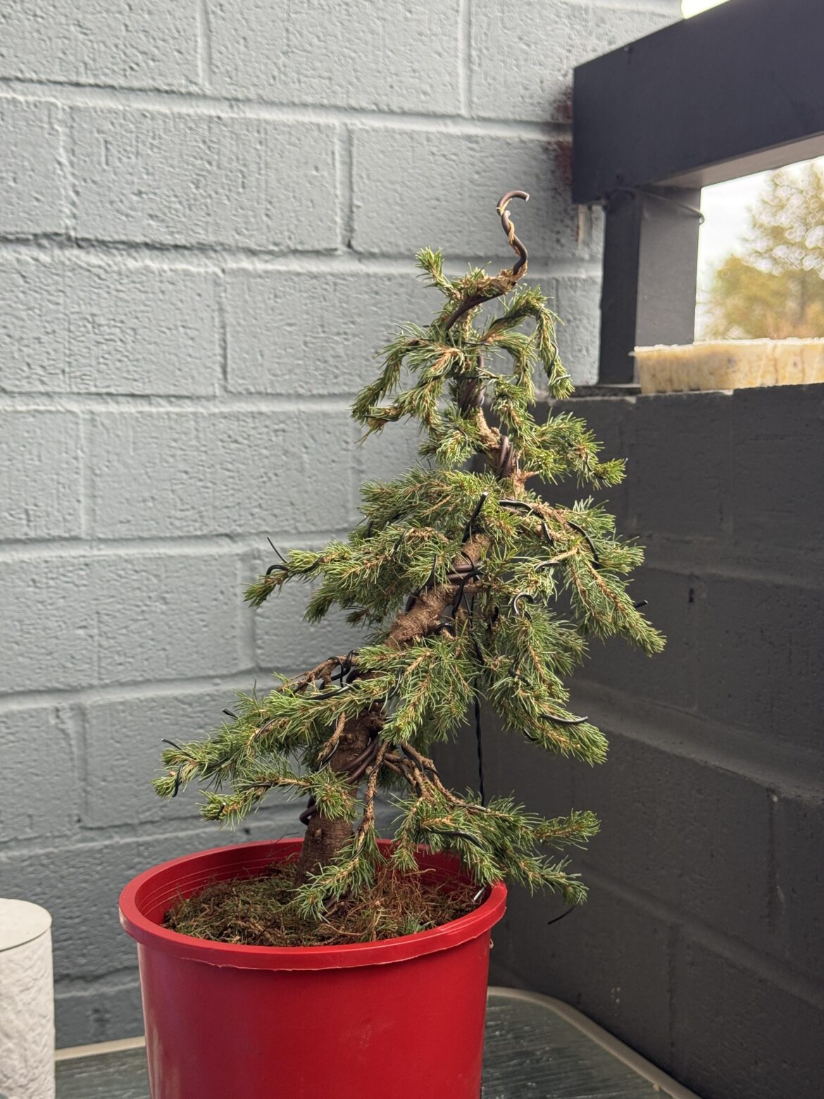 Think I’m Getting the Hang of Things