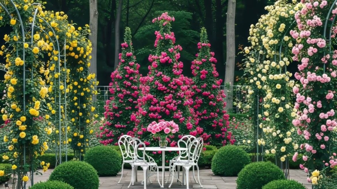 From minimalism to Japanese gardens and eco-style, learn about new landscape design ideas. Квітники.