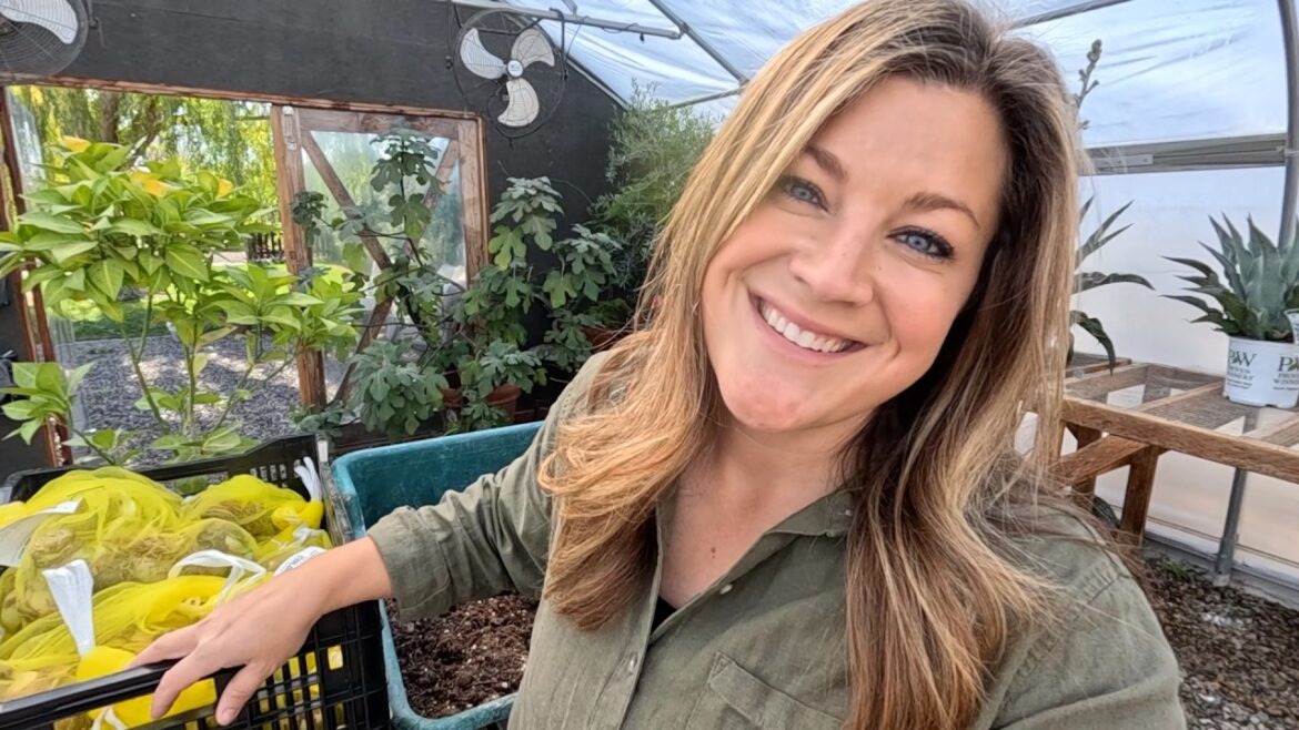 Potting 30 Amaryllis Bulbs & Leaf Cleanup!!! 😍🪴😍  // Garden Answer