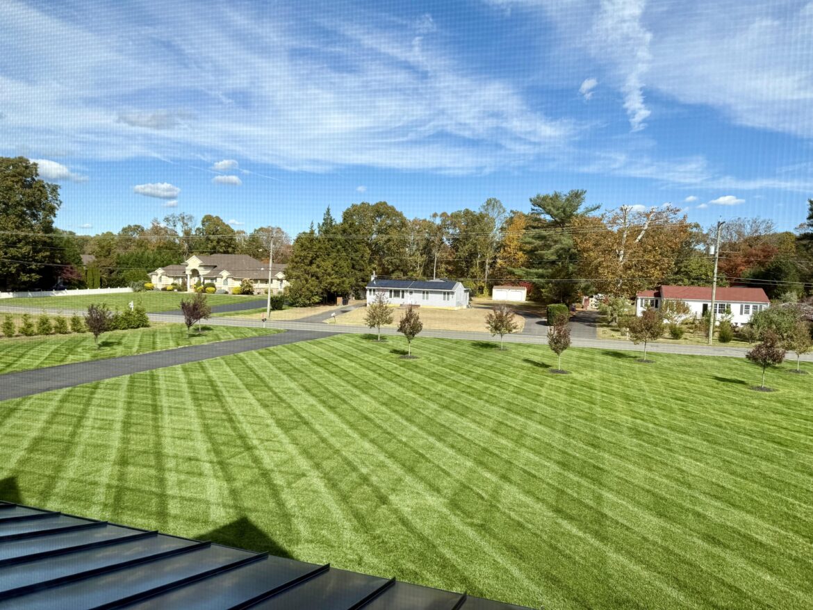 Enjoying the last few mows before winter. Overseeding this year went well.