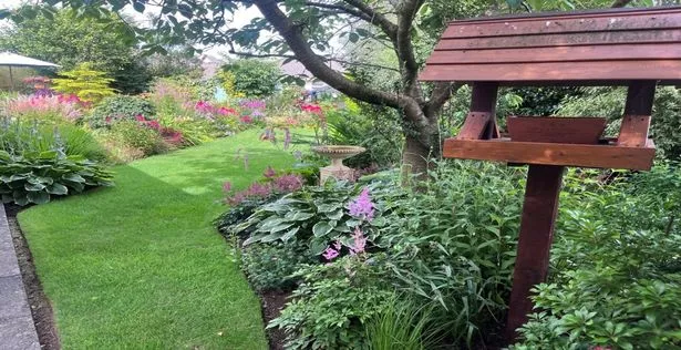 This is Mr Hogg's lovely garden in Cumnock 