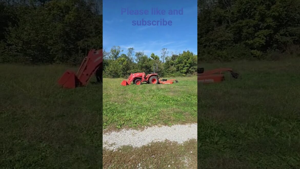 farm clean up videos please like and subscribe #fypyoutube #horse #farm #farming #farmer farm clean up videos please like and subscribe #fypyoutube #horse #farm #farming #farmer