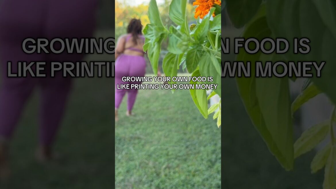 Would you grow your own food? #earthy #gardening #backyardgarden #naturegirl #ediblegardening