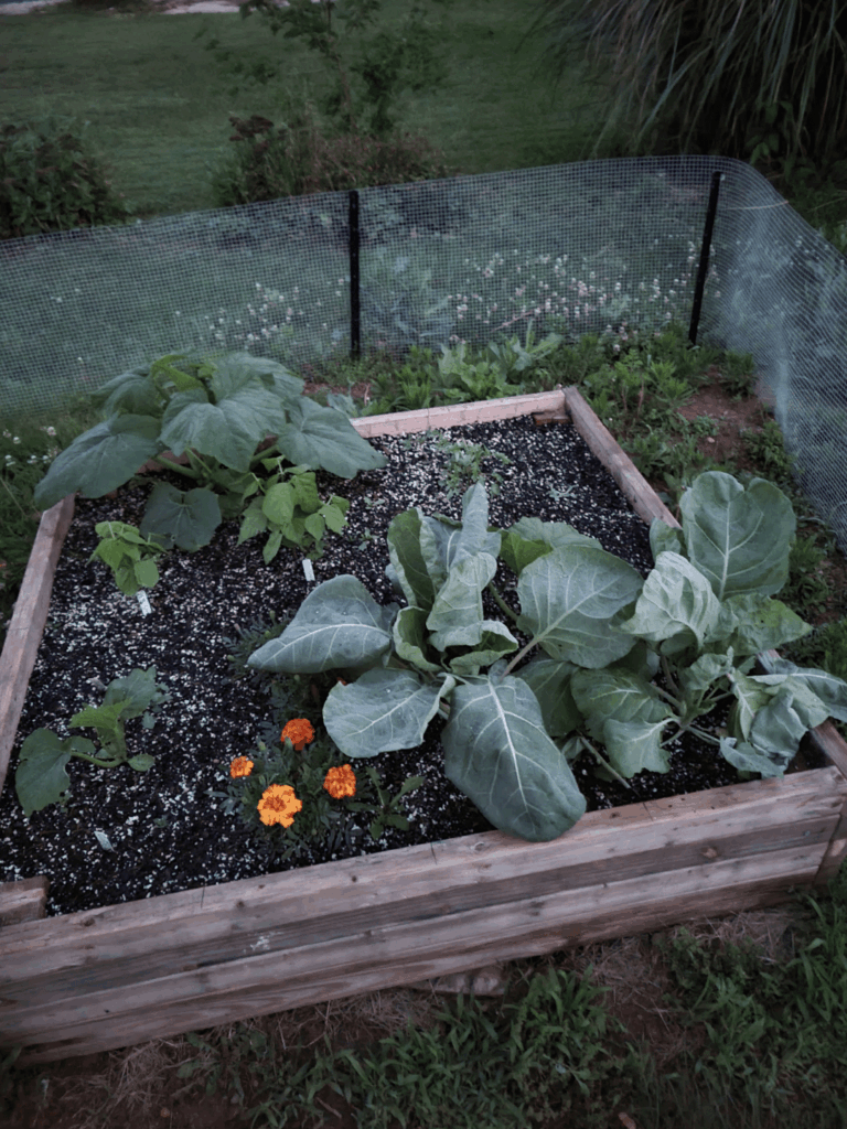 New grower wants to go bigger New grower wants to go bigger