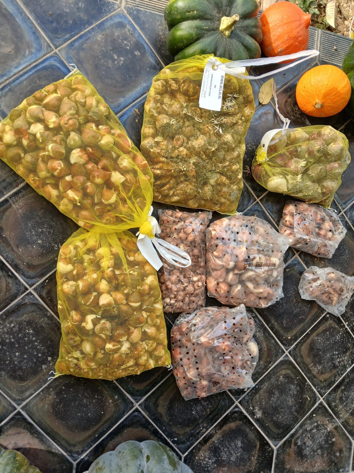 Spring's calling 🌷