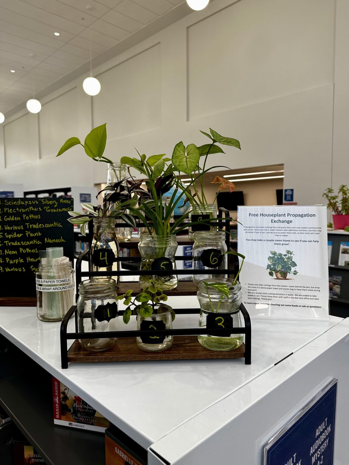 Local library has a propagation station!