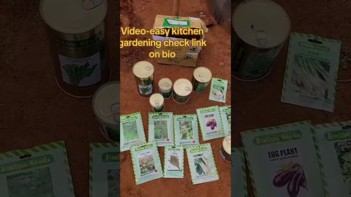 Kitchen Gardening 101 🥦 | Using Certified Vegetable Seeds for Better Harvests Kitchen Gardening 101 🥦 | Using Certified Vegetable Seeds for Better Harvests