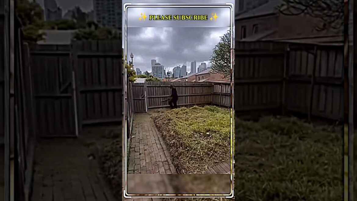 🌪 “So Satisfying You’ll Replay It Twice 😍” #shorts #cleaning #clean #viral #satisfying