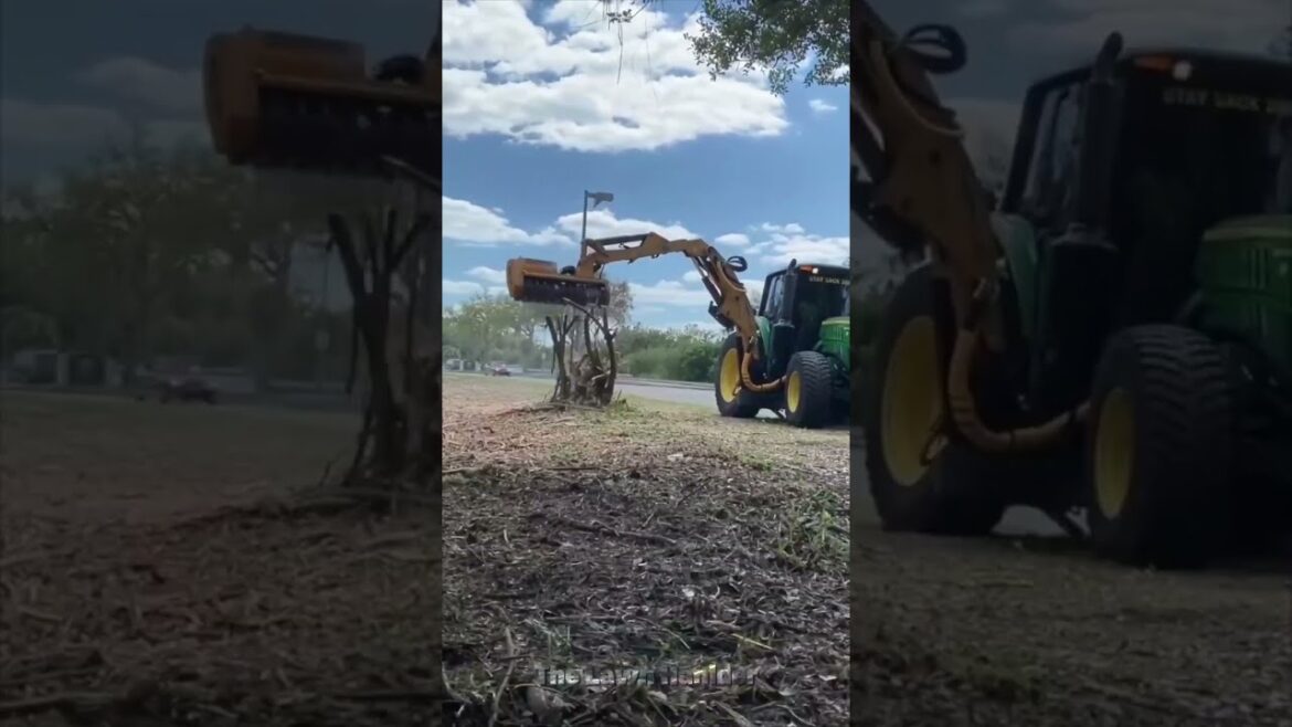 Grass Sodding | Pressure Washing | Drain Cleaning ๐ฟ #shorts #satisfying #gardening Grass Sodding | Pressure Washing | Drain Cleaning ๐ฟ #shorts #satisfying #gardening