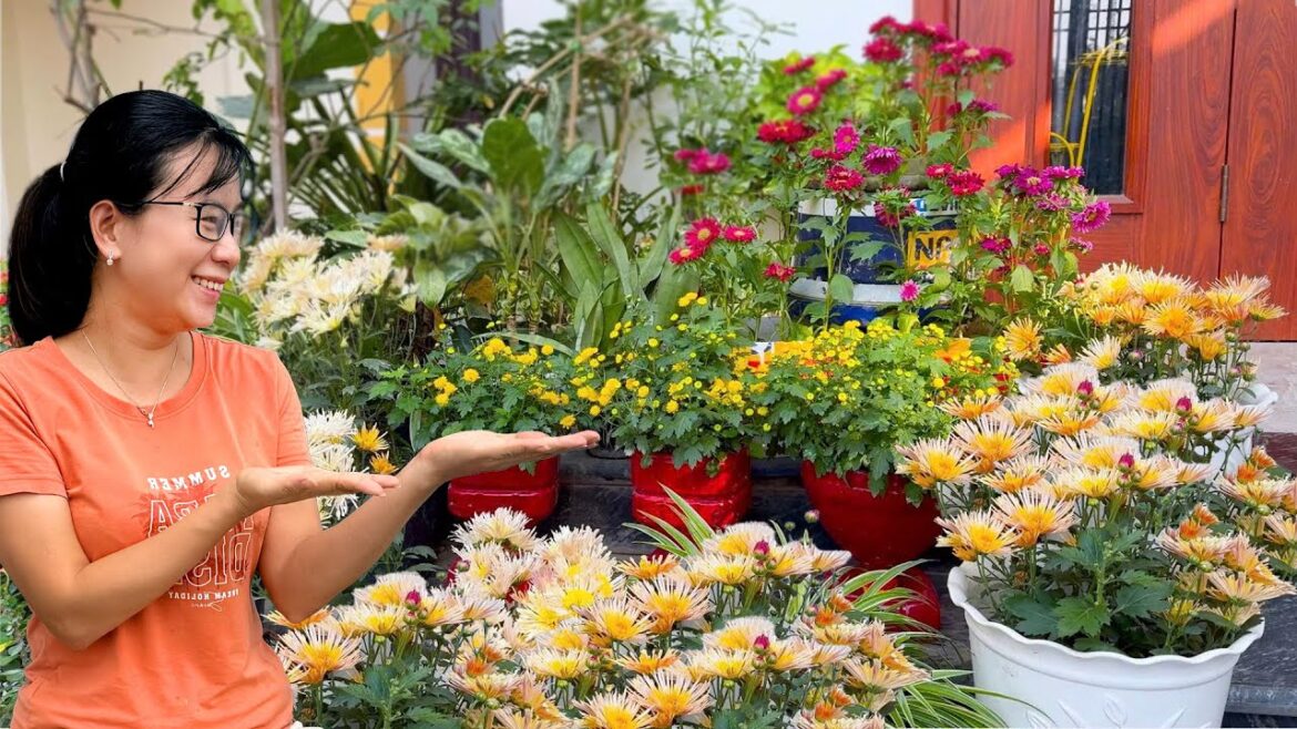 Enchanting front yard landscaping with this stunning flower | Simple plant propagation Enchanting front yard landscaping with this stunning flower | Simple plant propagation