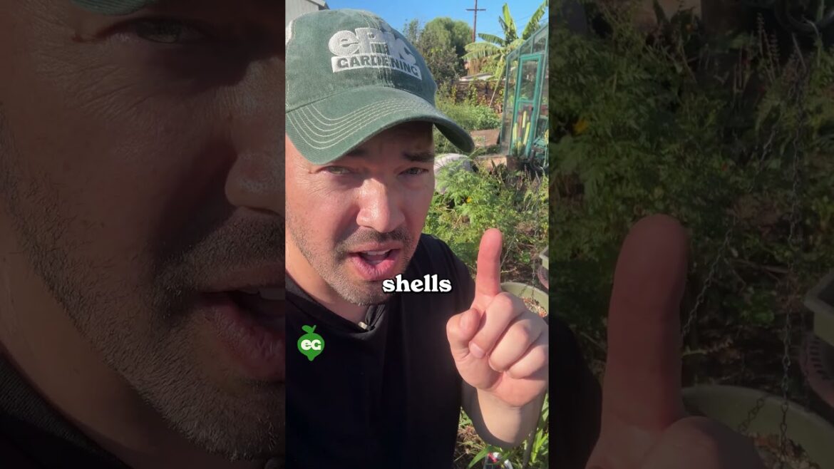 This bird seed is pure genius...