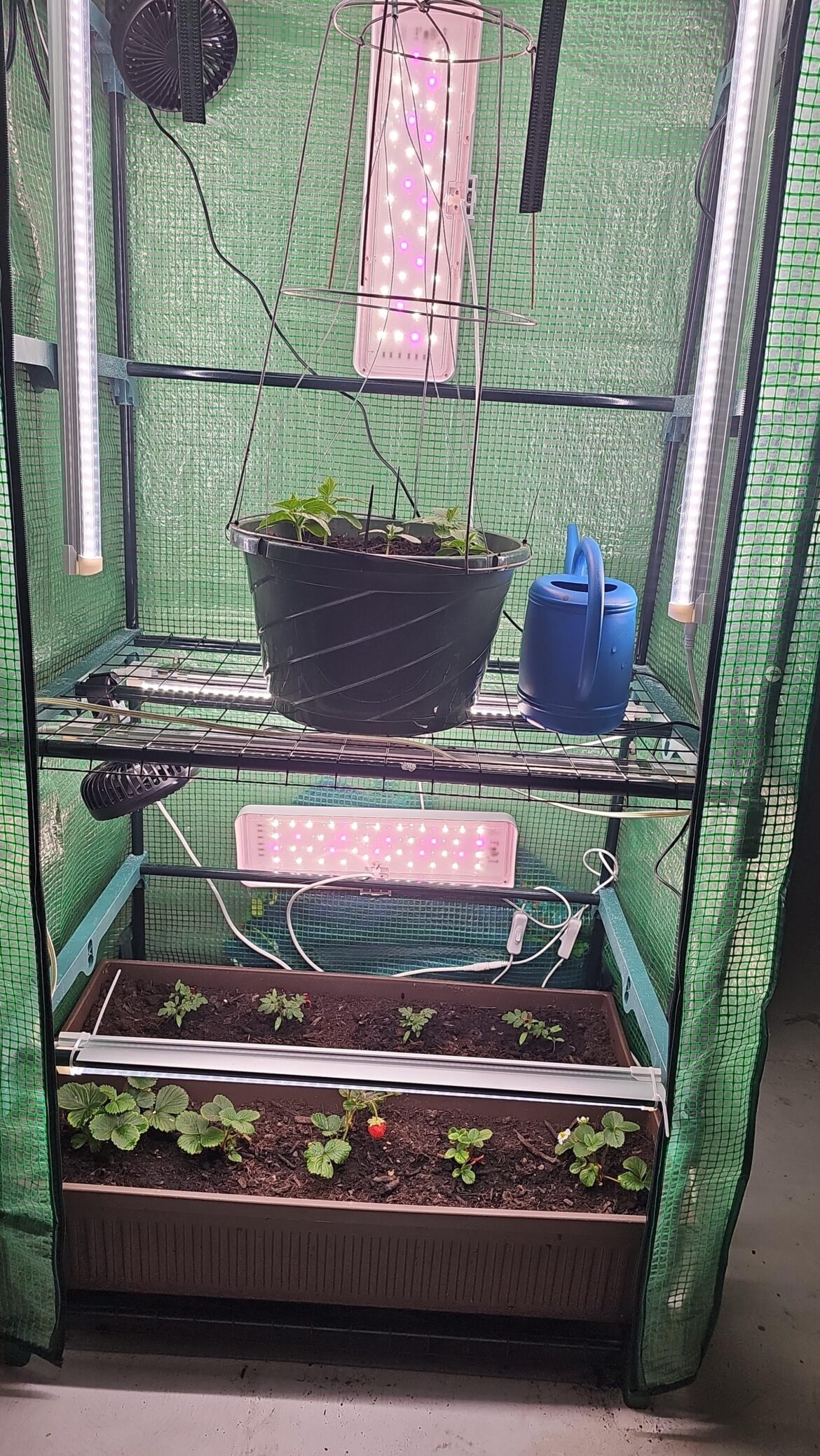 Air circulation Air circulation