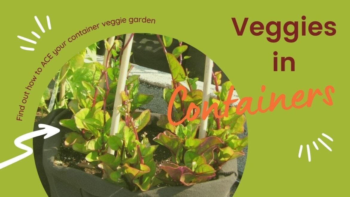 Vegetables in Pots: How to ACE Your Container Garden