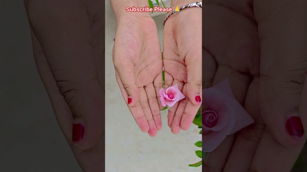 ফুল নিয়ে টিকটিক #gardening #youtubeshorts #UpdateGardening #garden #youtubeshort #flowers #rose