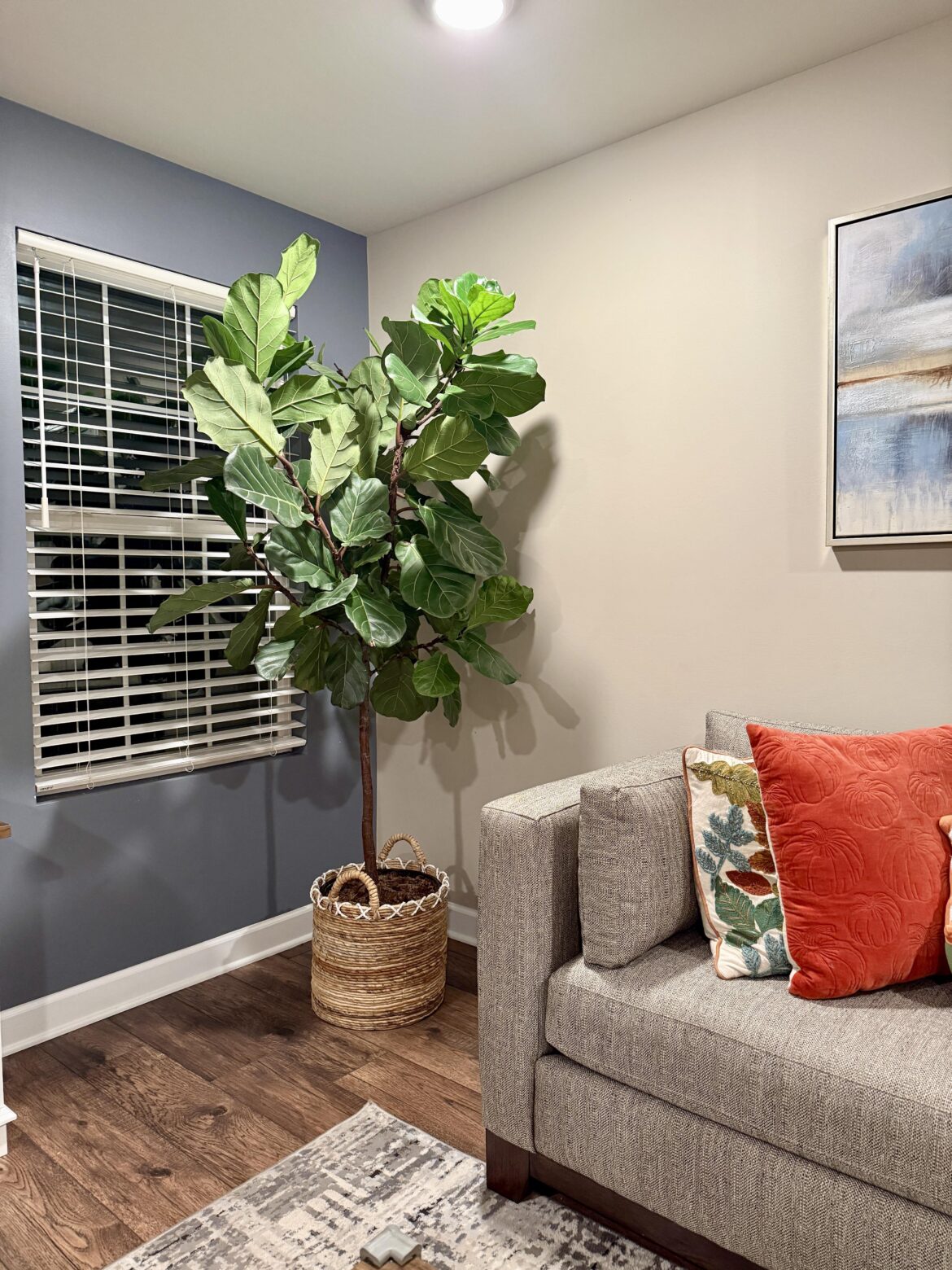 Propagated around 10 new plants from this beauty. Definitely happy in this spot.