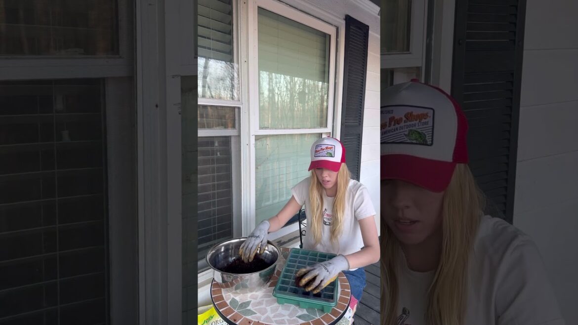 Starting cabbage seeds! #homestead #gardening #seedstarting #garden #farm