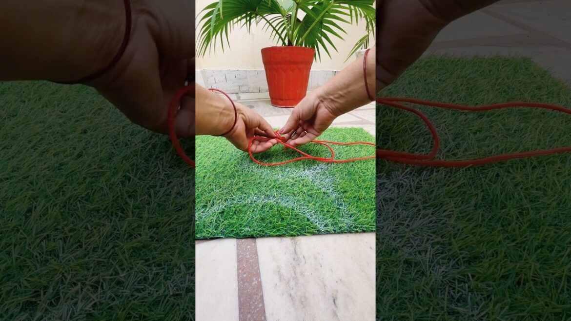 Gardening tips #garden #ytshorts #diy #terracegardenindia #gardenplants #gardenflowers