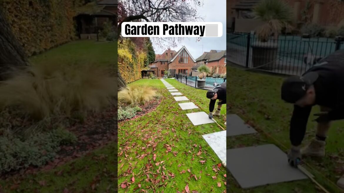 Garden Pathway⬜️ #landscaping #garden #path #pathway #backyard #diy #gardendesign