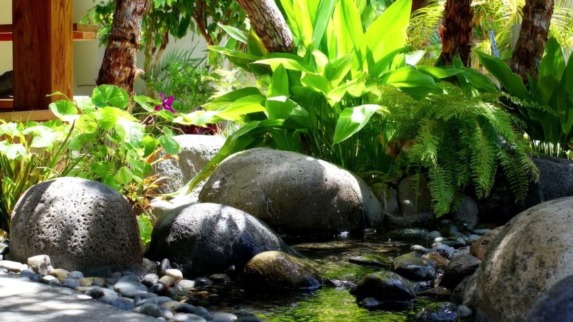 Lush Tropical Backyard Ideas 2025 | Small Garden Design for a Paradise Escape Lush Tropical Backyard Ideas 2025 | Small Garden Design for a Paradise Escape