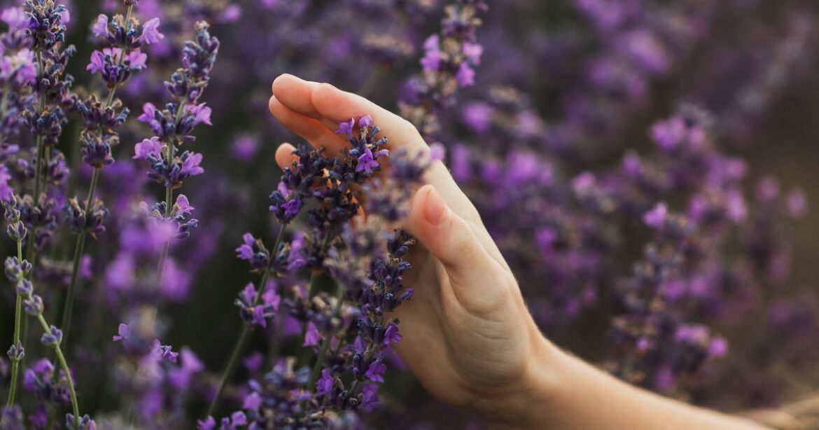 Nottinghamshire Live