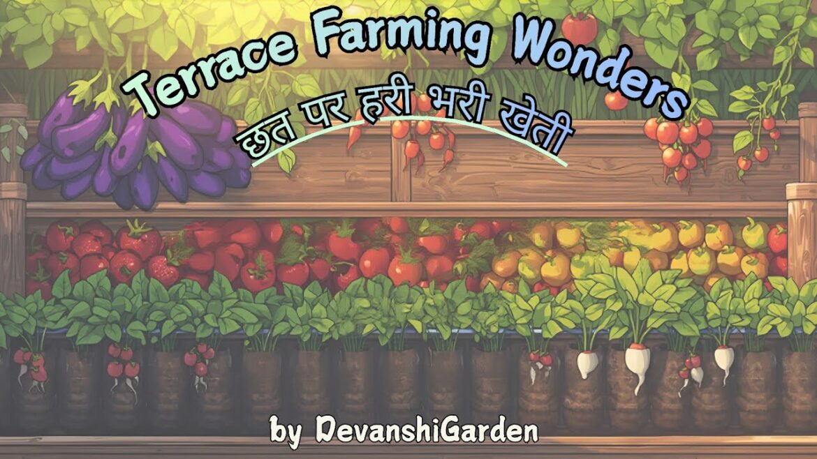 Harvesting chhoti si  from terrace garden/garden update/vegetable in pot#winter special video