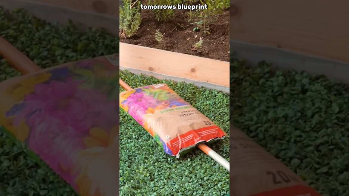 Gardening Hacks My 250-Year-Old Farmer Grandpa Taught Me! #lifehacks Gardening Hacks My 250-Year-Old Farmer Grandpa Taught Me! #lifehacks