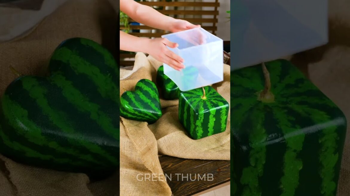 Garden Therapy: Cultivating Calm and Mindfulness 🌱 Garden Therapy: Cultivating Calm and Mindfulness 🌱