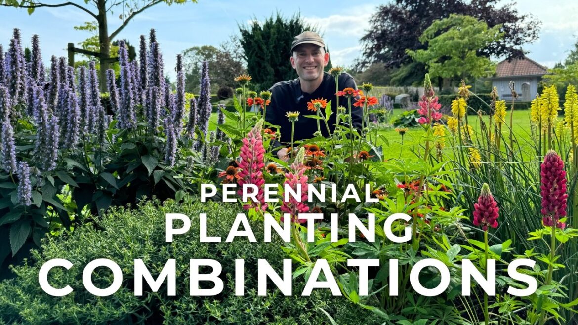 Perennial Combinations That Always Work – Garden Design Tips | Perennial Garden Perennial Combinations That Always Work – Garden Design Tips | Perennial Garden