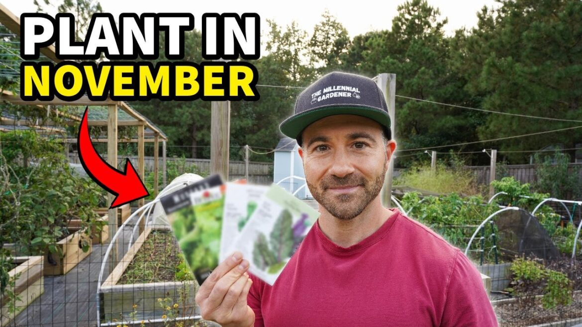 You’ll Regret NOT Planting These 10 Crops In November RIGHT NOW! You'll Regret NOT Planting These 10 Crops In November RIGHT NOW!