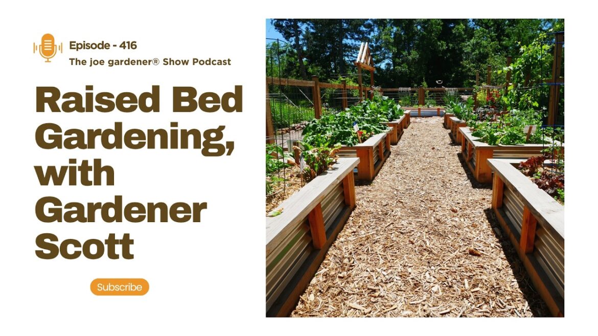 Raised Bed Gardening Tips with Gardener Scott | Design, Soil, and Pests | The joe gardener® Show Raised Bed Gardening Tips with Gardener Scott | Design, Soil, and Pests | The joe gardener® Show