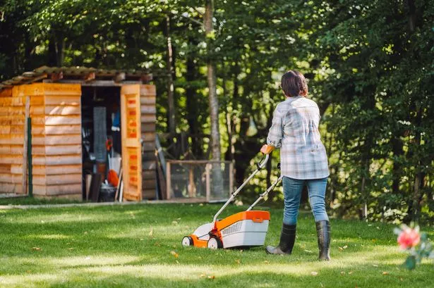 Woman mowing lawn