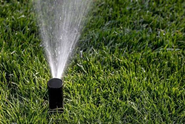 Close-up of a sprinkler and green grass.
