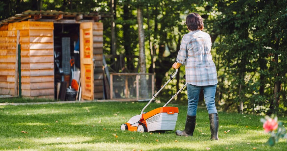 Lawns ‘won’t recover’ in spring if gardeners forget to do simple task over winter Devon Live