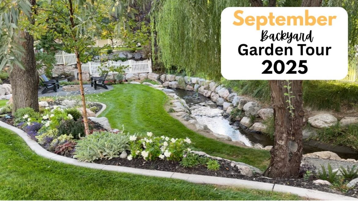 September Backyard Garden Tour! 2025 September Backyard Garden Tour! 2025