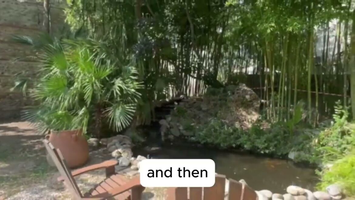 Designing Gardens at Chateau La Tour Apollinaire – Part 4 Japanese Garden Designing Gardens at Chateau La Tour Apollinaire - Part 4 Japanese Garden