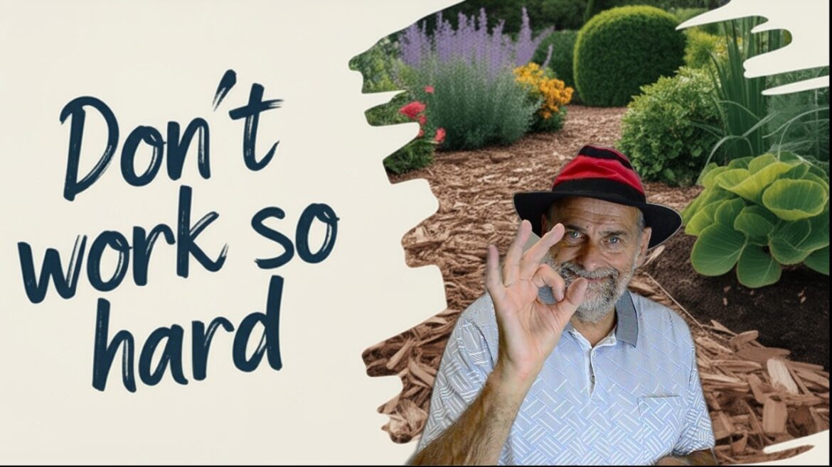 10 Hacks for a Low Maintenance Garden