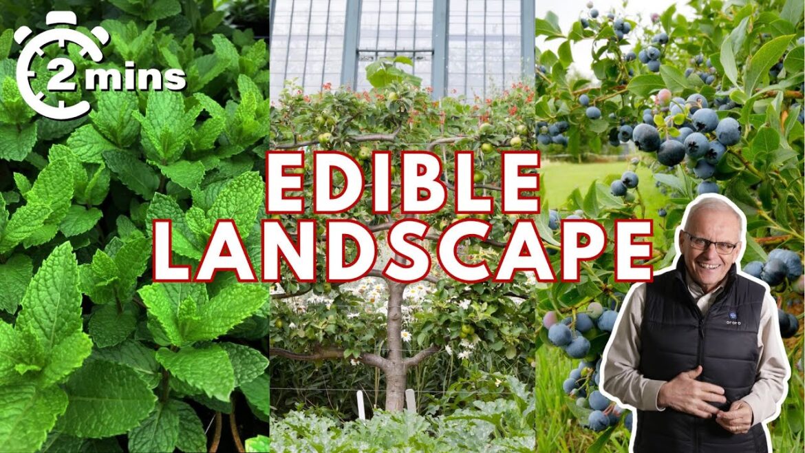Decorative & EDIBLE Plant Ideas for Your Landscape | Edible Landscaping (2 minute tips)