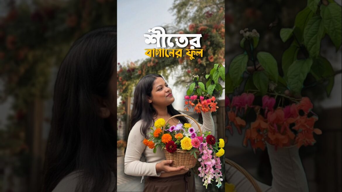 এই শীতে কি কি ফুলগাছ লাগালাম?😰🌱 #shorts #bengali #minivlog #gardening এই শীতে কি কি ফুলগাছ লাগালাম?😰🌱 #shorts #bengali #minivlog #gardening