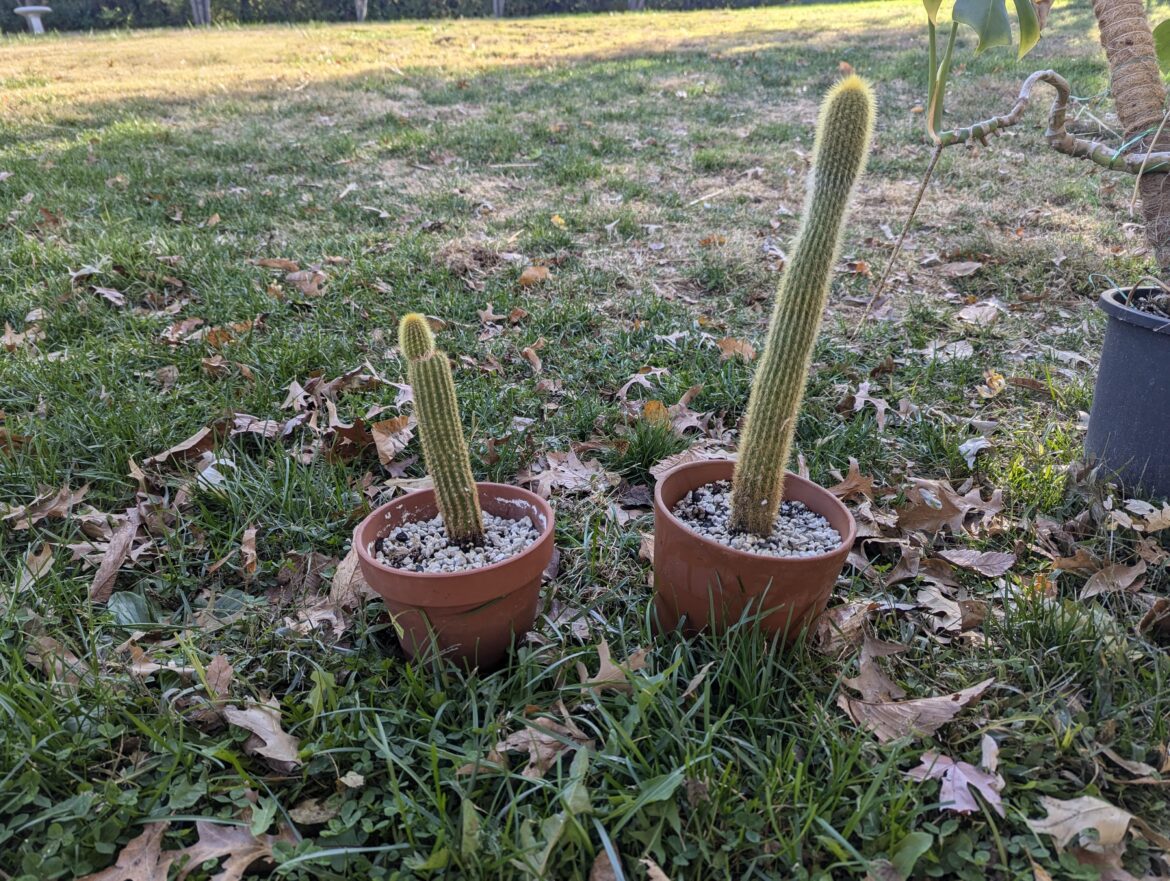 Left in water overnight, now what??