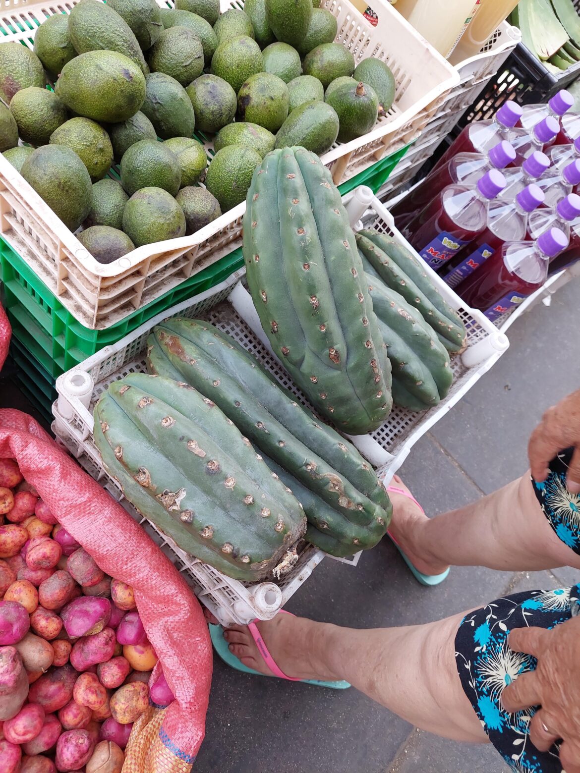 Honey, how many tomatoes and San Pedro would you like? Peru market of Gamara.