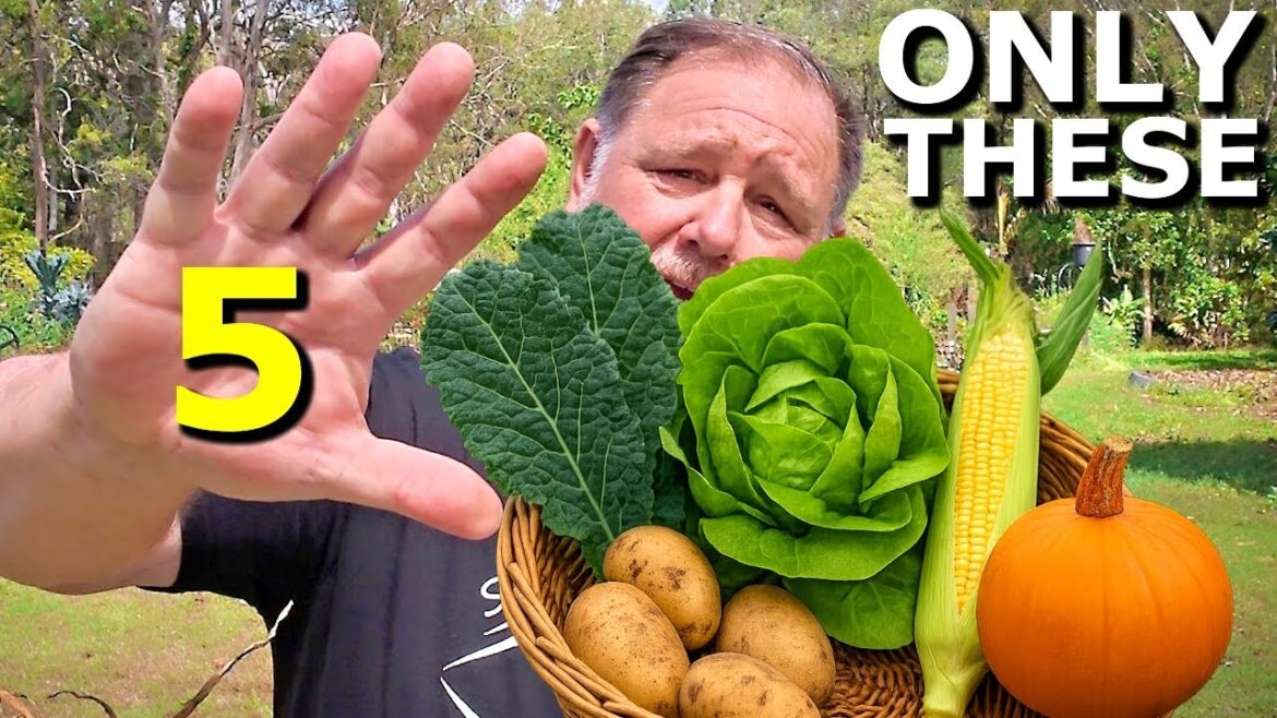 If I Could Only Grow 5 Vegetables I’d Pick These