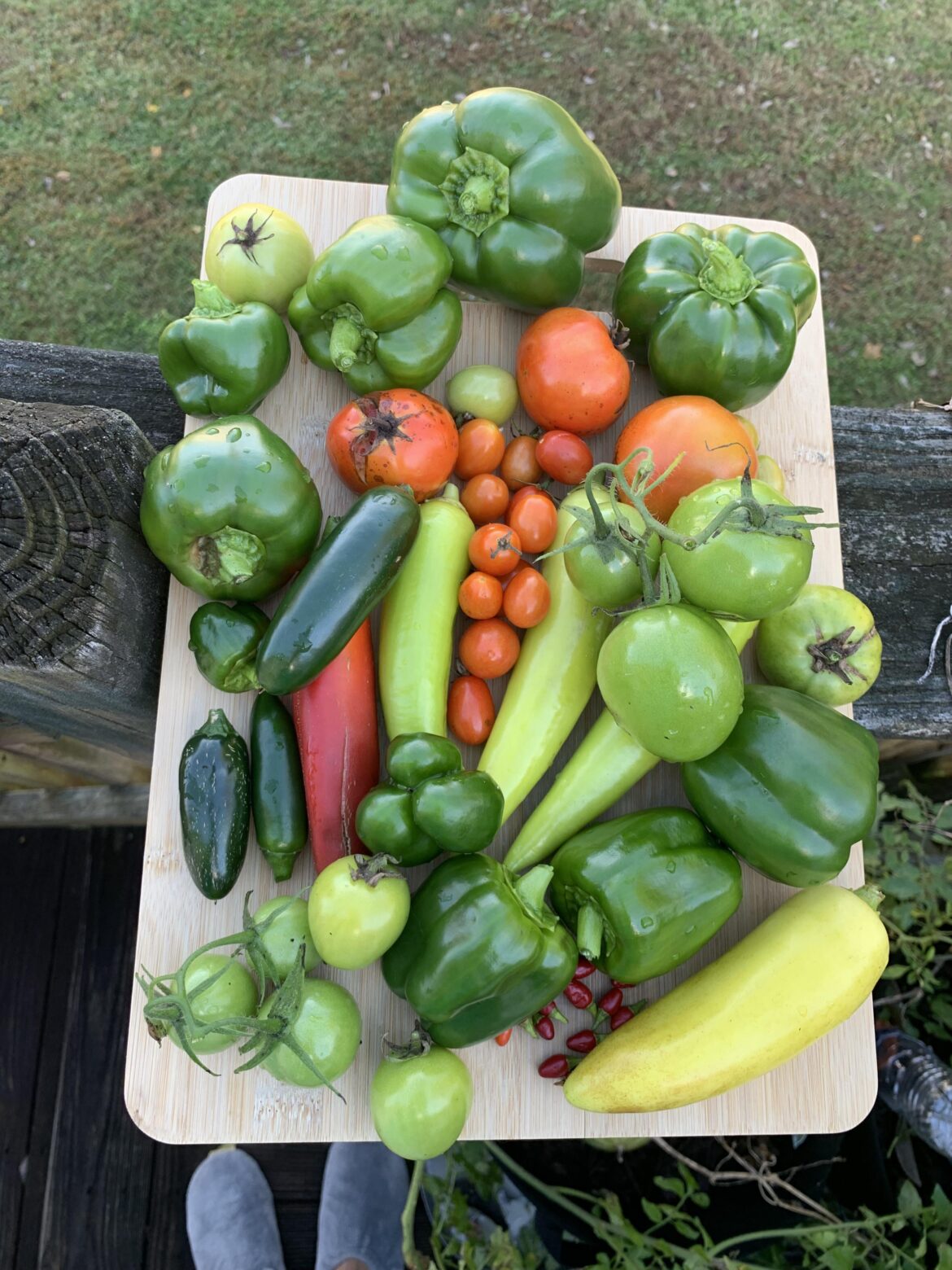 Today I cut down what’s left of my 1st garden before our 1st freeze