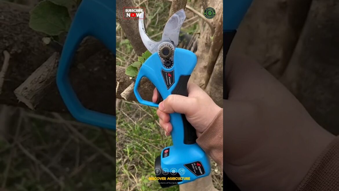 Battery Operated Powerful Electric Plant Pruning Machine | Amazing Gardening & Farming Tool Battery Operated Powerful Electric Plant Pruning Machine | Amazing Gardening & Farming Tool