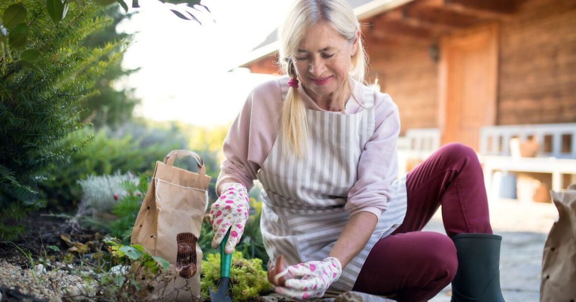 Plant these by the end of November for ‘brilliant flower colours’ Devon Live